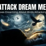 Bird Attack Dream Meaning
