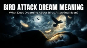 Bird Attack Dream Meaning