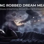 Getting Robbed Dream Meaning