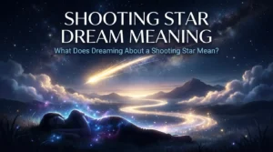 Shooting Star Dream Meaning