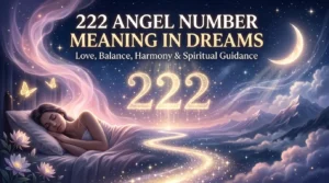 222 Angel Number Meaning in Dreams